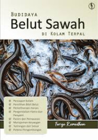 Image of BUDIDAYA BELUT SAWAH DI KOLAM TERPAL